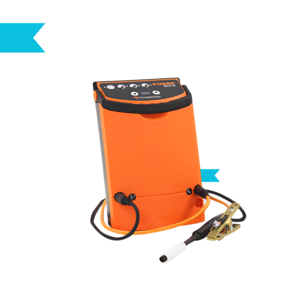 Power30X Weld Cleaner 110/230V – Multi-Mode